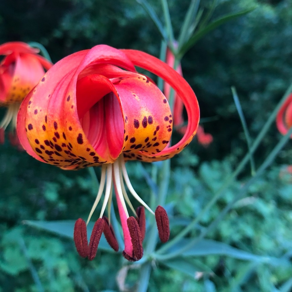 Meet your Posher, jahammed